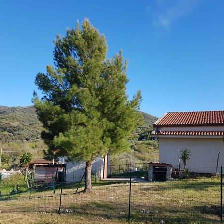 Villetta Nel Verde Ascea Extérieur photo