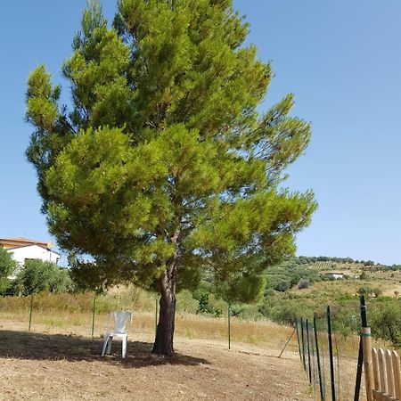 Villetta Nel Verde Ascea Extérieur photo
