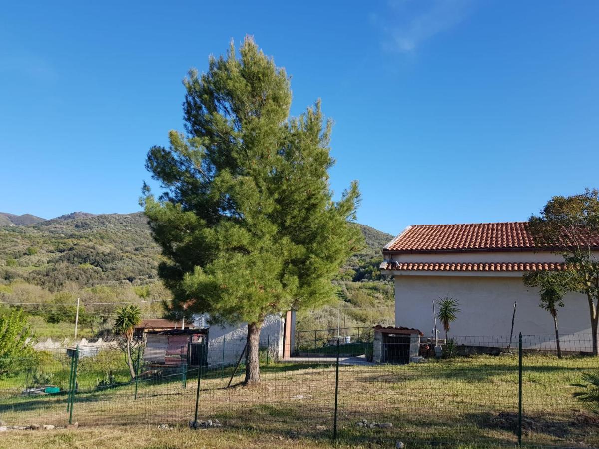 Villetta Nel Verde Ascea Extérieur photo